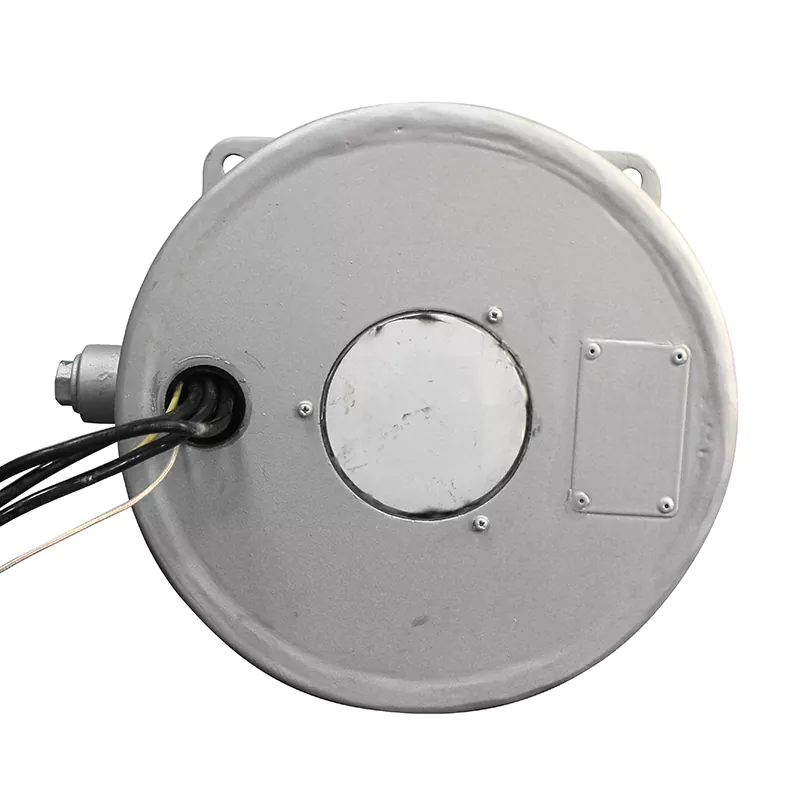 Cantilever Oil Cooled Motor