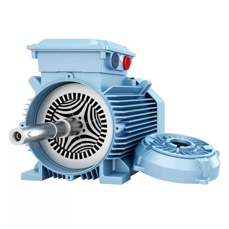 IP65 নন-ম্যাগনেটিক সিঙ্ক্রোনাস মোটর